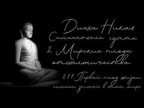 Видео: ДН2 -  2.1.1. Первый плод жизни самана, зримый в этом мире. Саманняпхала сутта из ДИГХА НИКАЯ