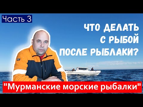 Видео: Что делать с рыбой после рыбалки? Рыбалка на треску, пикшу, сайду. Мурманские морские рыбалки.