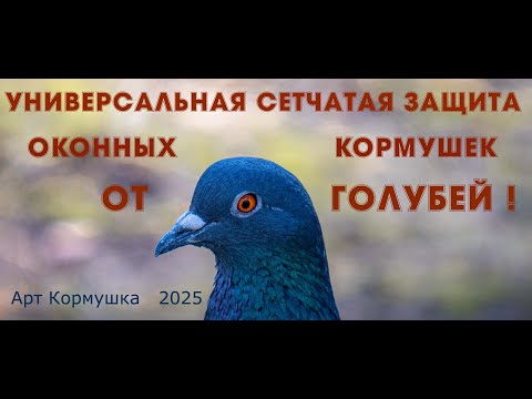 Видео: УНИВЕРСАЛЬНАЯ СЕТЧАТАЯ ЗАЩИТА ОКОННЫХ КОРМУШЕК ОТ ГОЛУБЕЙ! Идея и производство - Арт Кормушка.