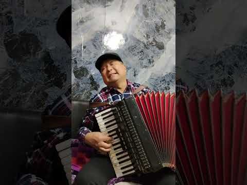 Видео: Алтынай Нарбаева — Суйкум элес (cover)