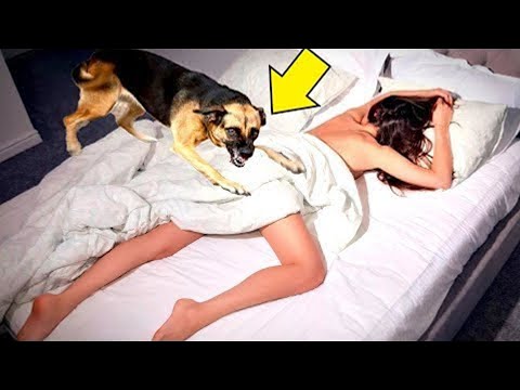 Видео: Эта история потрясла весь мир! Посмотри что сделала собака с хозяйкой!