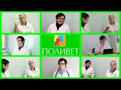 Видео: Диалоги врачей #1