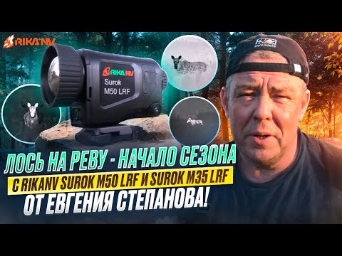 Видео: Лось на реву - начало сезона с RikaNV Surok M50 LRF и Surok M35 LRF от Евгения Степанова!