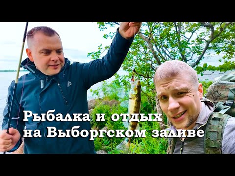 Видео: Мой любимый отдых в Питере. Рыбалка, природа, полевая кухня на Выборгском заливе