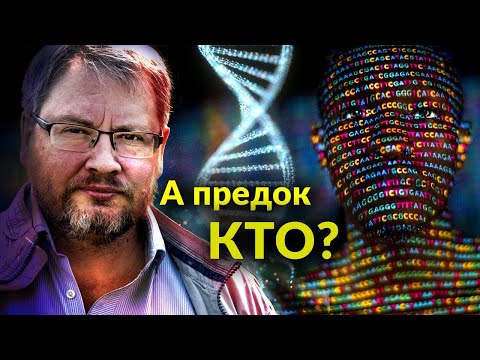Видео: Интервью с Владимиром Волковым про генетику Рюриковичей, тюрков Сибири и Центральной Азии