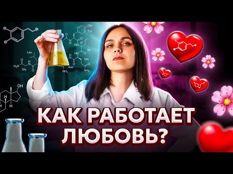 Видео: Как работает любовь? Объясняем с научной точки зрения // Хакни мозг