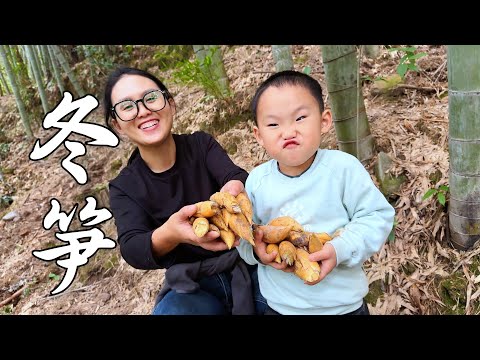 Видео: Йик был так рад впервые выкапывать зимние побеги бамбука!