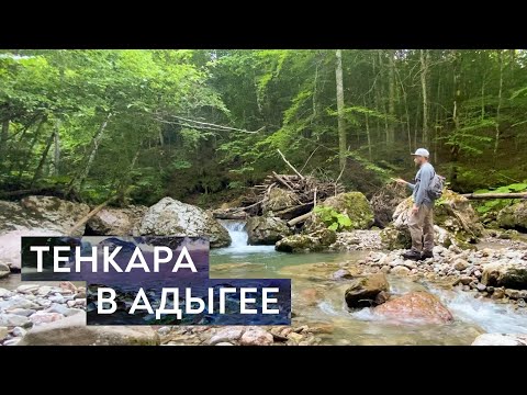 Видео: Форель на ТЕНКАРУ в Адыгее. Моя самая трудная рыбалка.