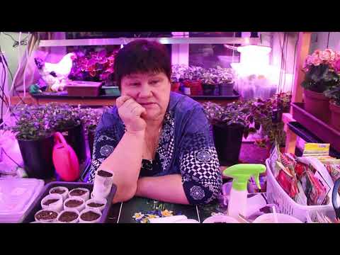 Видео: ТЕПЛИЦА РУХНУЛА ПОД СНЕГОМ! ЧТО БУДУ ДЕЛАТЬ. ПОДГОТОВКА К ПОСАДОЧНОМУ СЕЗОНУ. 17.01.21 часть 1