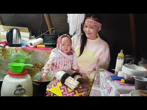 Видео: День Оленевода 2023 1-2 день