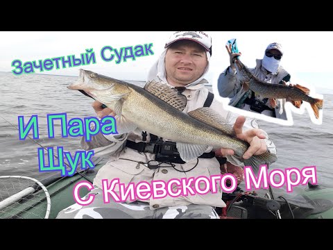 Видео: Зачетный Судак и Пара Щук на Киевском Море