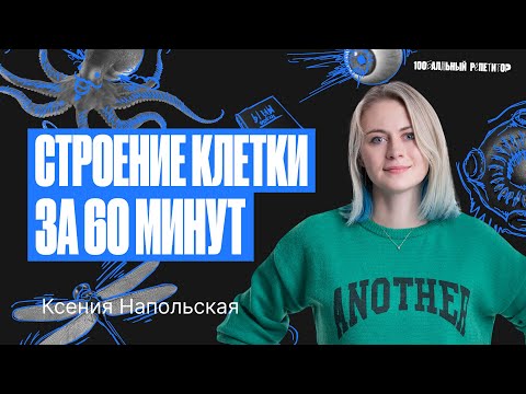Видео: Строение клетки за 60 минут. Подготовка к ЕГЭ по биологии 2024
