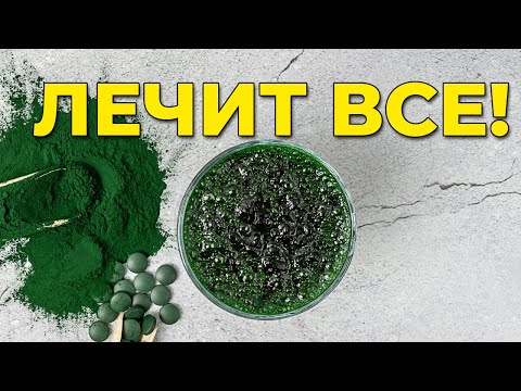 Видео: ЛЕЧИТ ВСЕ! НАЙДЕНА ПАНАЦЕЯ ОТ ВСЕХ БОЛЕЗНЕЙ!