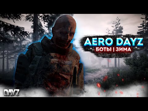 Видео: ПРОЕКТ AERO DAYZ PVE+ | БОТЫ | ЗИМА, ЛУТ, КВЕСТЫ #2