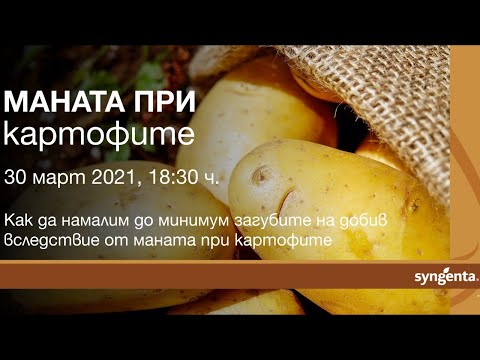 Видео: Мана при картофи