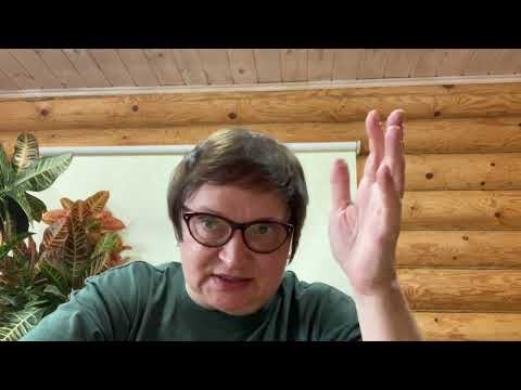 Видео: Робеспьер   Дон Кихот определяем тип