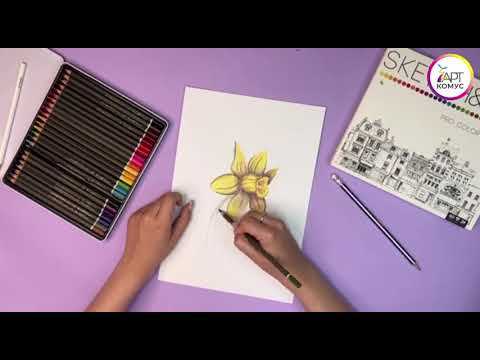Видео: Комус Арт. Мастер-класс по графике цветными карандашами.