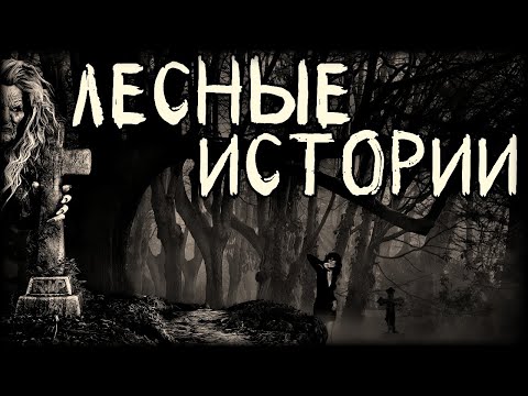 Видео: Лесные истории на ночь (4в1)