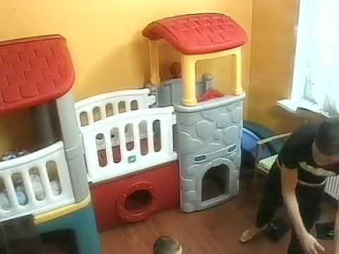 Видео: ТНТ ДОМ 2 Город любви 2466 день. Эфир от 09.02.2011