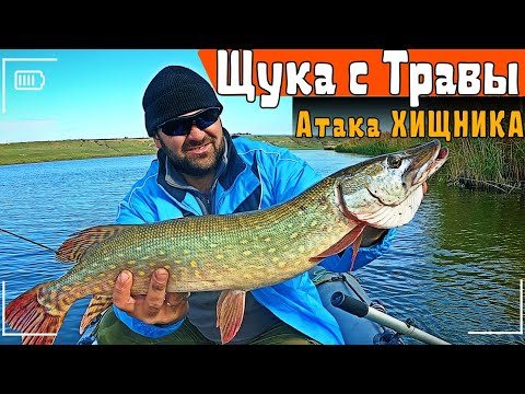 Видео: Огромная ЩУКА с ЛОДКИ на силикон: Мой опыт ловли❗