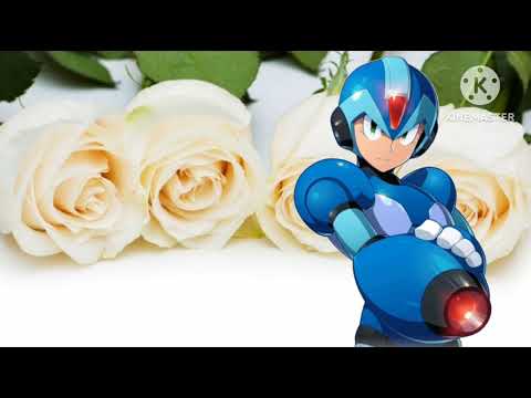 Видео: Mega man x ai cover russian white rose/белые розы