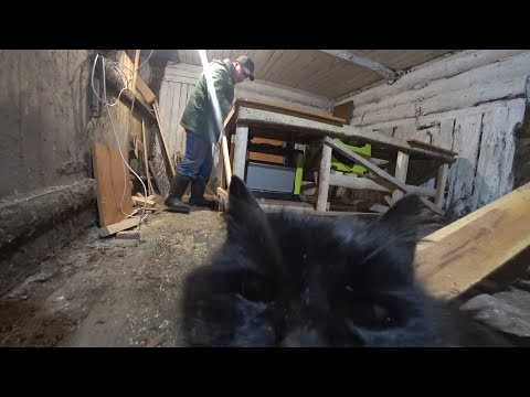 Видео: Начинаем новый бизнес? Жизнь в деревне