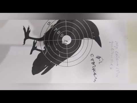 Видео: Соболь  22 LR  длинный и короткий, сравнение кучности.