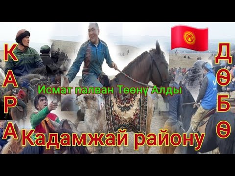 Видео: Аламан Улак Кара-Добо 15-февраль 2022жыл👍