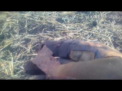 Видео: помощь подписчикам фортуна м3