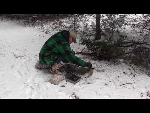 Видео: как сделать набор щеток для рыси