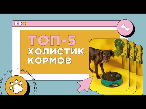 Видео: Топ-5 холистик кормов для кошек и собак. Самый лучший корм для домашних животных.