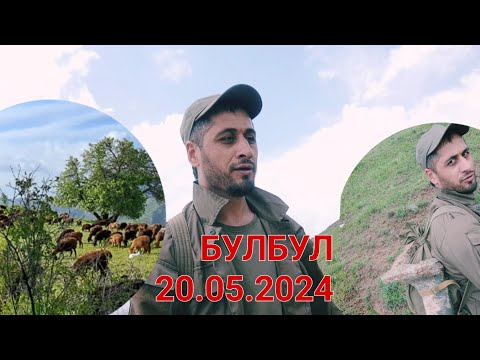 Видео: МАНЗАРАХОИ ЗЕБО