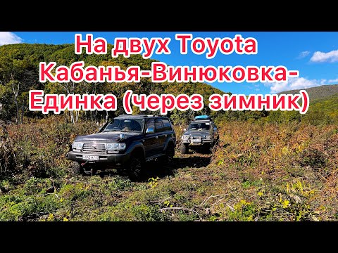 Видео: Кабанья-Винюковка-Единка через нижний зимник #tlc80 #tunergarage 