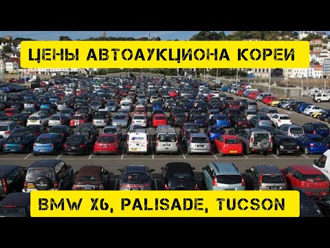 Видео: Аукцион Гловис. Какие цены на август месяц в Кореи. #автоизкореи #обзор