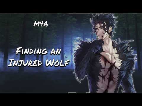 Видео: В поисках раненого волка-мальчика [M4A] ASMR-ролевая игра