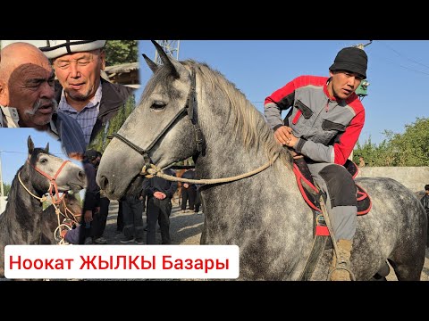 Видео: СООДАСЫ КАЙНАГАН НООКАТ ЖЫЛКЫ БАЗАРЫ 