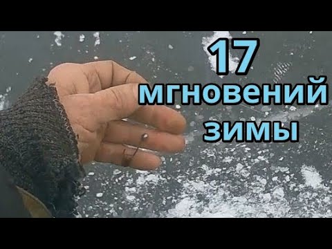 Видео: Зимняя рыбалка на Карпа .  Сезон 2024 -2025 г.   Декабрь.
