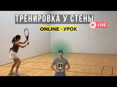 Видео: Online-тренировка у стены. Прошли основы за 1 час с Мариной