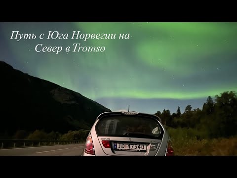 Видео: Едем с Юга Норвегии на Север в сказочный Tromsø. Путь через 3 страны. 