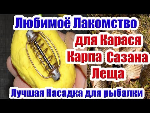 Видео: Лакомство для Карася Насадка на Карася Карп Сазан Лещ Супер Рыболовная насадка для карася