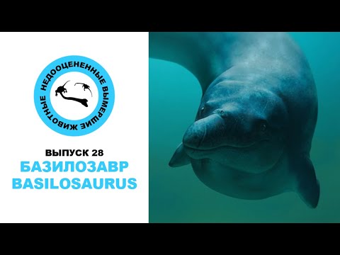 Видео: Недооцененные Вымершие Животные. Выпуск 28: Базилозавр (Basilosaurus)