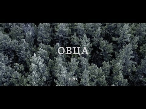 Видео: Короткометражный фильм "ОВЦА"