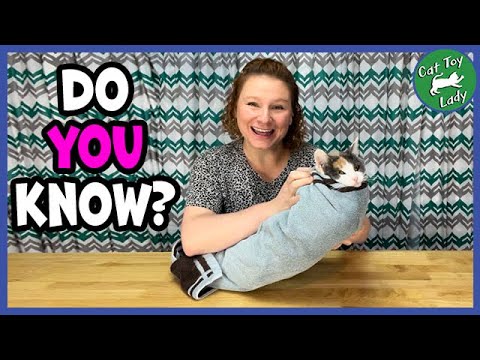 Видео: Как завернуть кошку в полотенце.