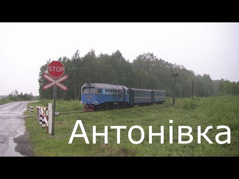 Видео: Полісся, вузькоколійна залізниця . narrow-gauge railway