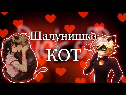 Видео: "Шалунишка Кот"|Переписка Леди Баг и Супер Кот| LovKa