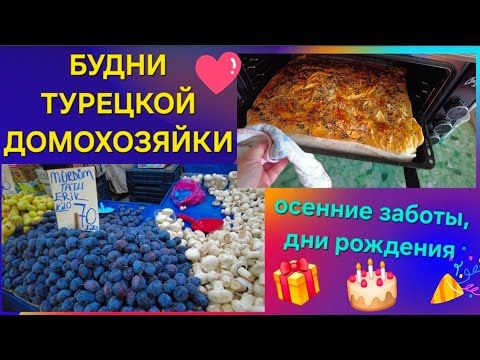 Видео: БУДНИ ТУРЕЦКОЙ ДОМОХОЗЯЙКИ: Заботы осени, сентябрь- октябрь 2025.