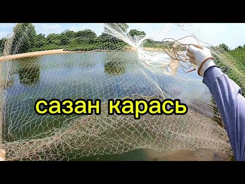 Видео: Рыбалка на кастинговую сеть начало осени САЗАН и КАРАСИ.