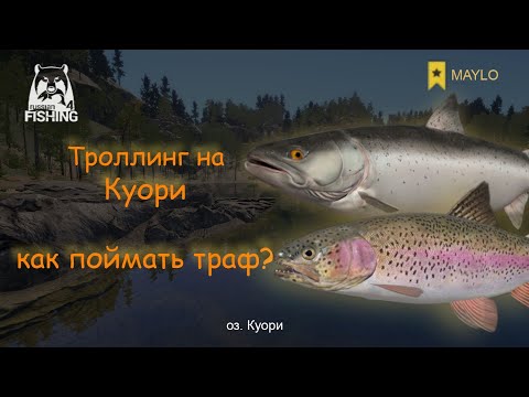 Видео: Как закрывать трофеев на Куори? | Русская Рыбалка 4 | РР4 MAYLO