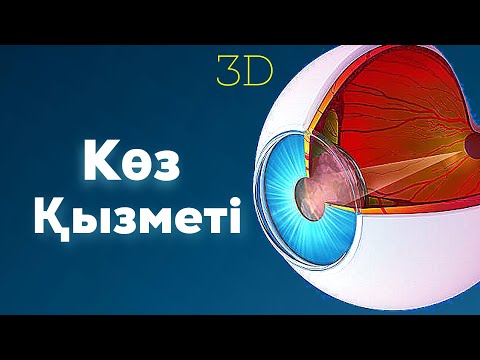 Видео: Көз құрылысы | Көру механизмі | #eyes #глаза #көз