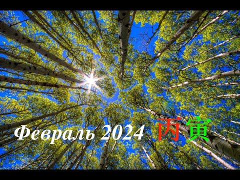 Видео: ФЕВРАЛЬ 2024: БЫСТРЫЙ И ВЕСЕЛЫЙ